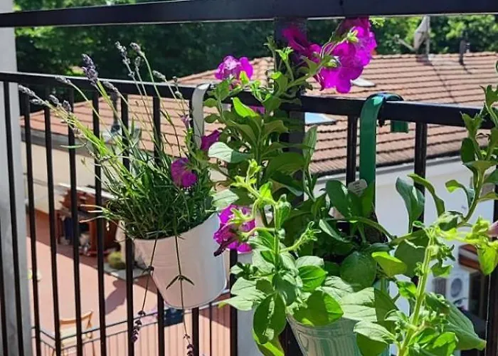 Casa Miro Lägenhet Parma