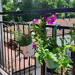 Casa Miro Διαμέρισμα Πάρμα